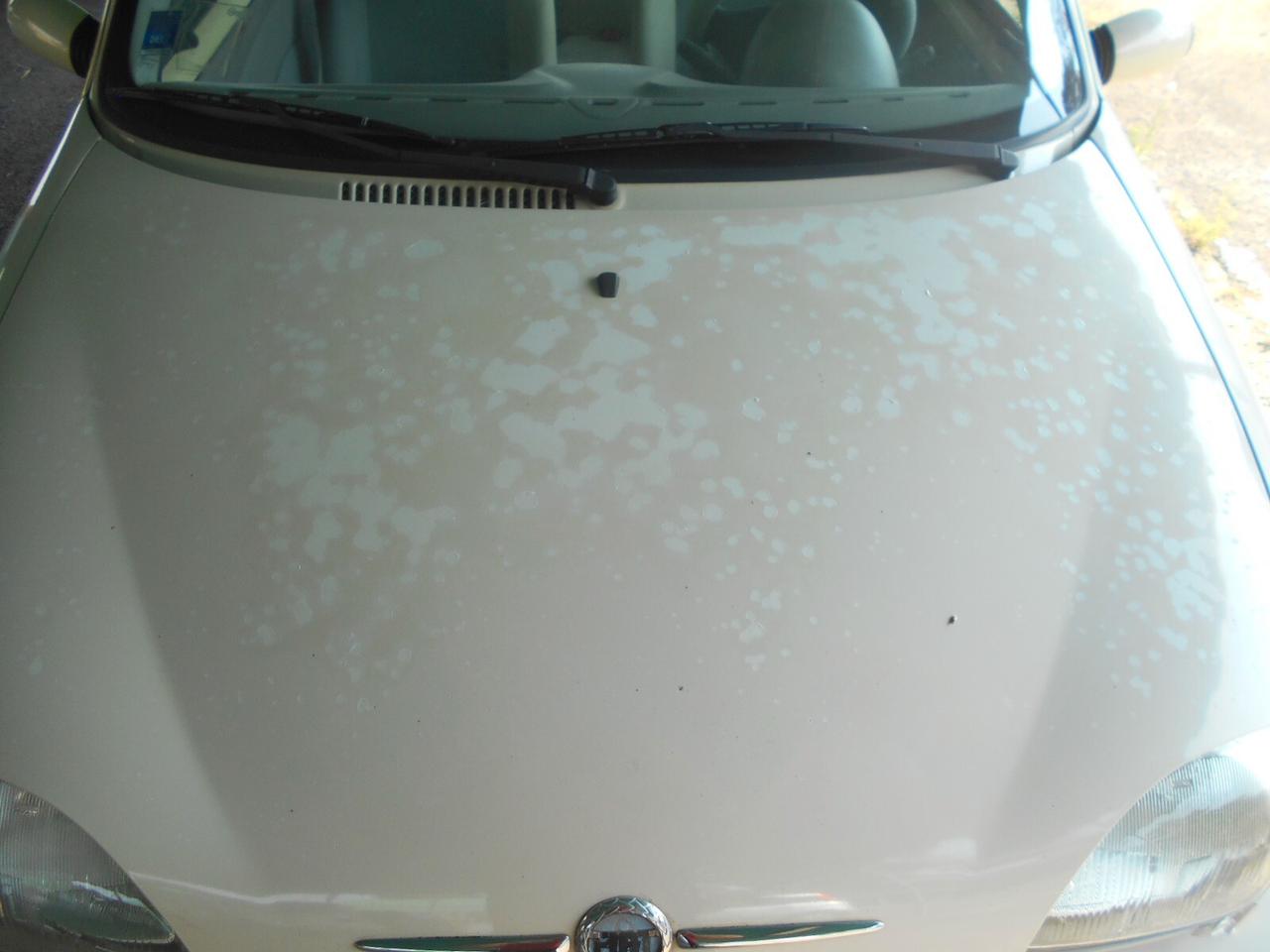 Fiat 600 1.1