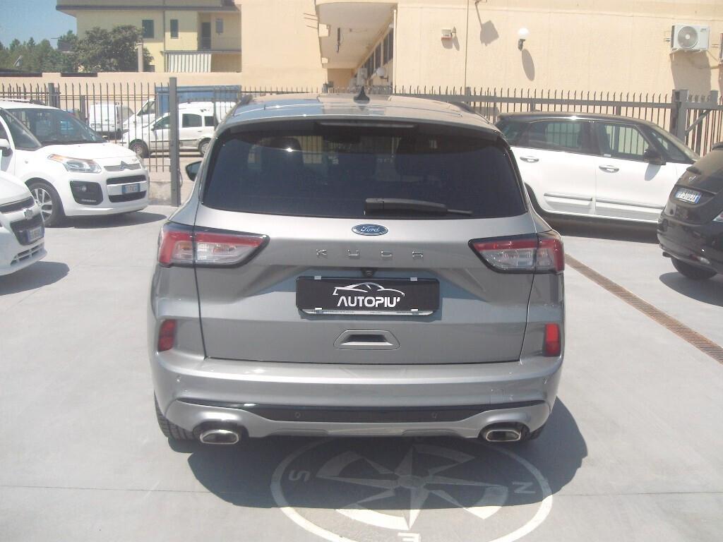 Ford Kuga 1.5 EcoBlue 120 CV aut. ST-Line - 2022