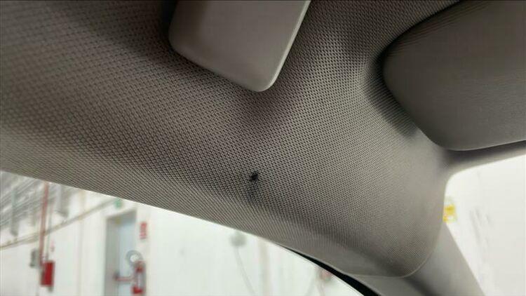 Seat Leon ST Business BR579095 1.0 Benzina 90CV