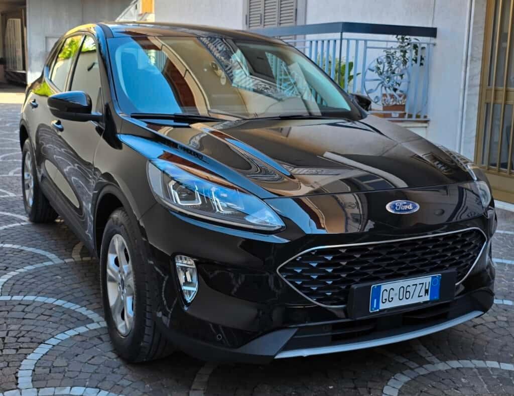 Ford Kuga 1.5 EcoBlue 120 CV aut. 2WD Titanium Business