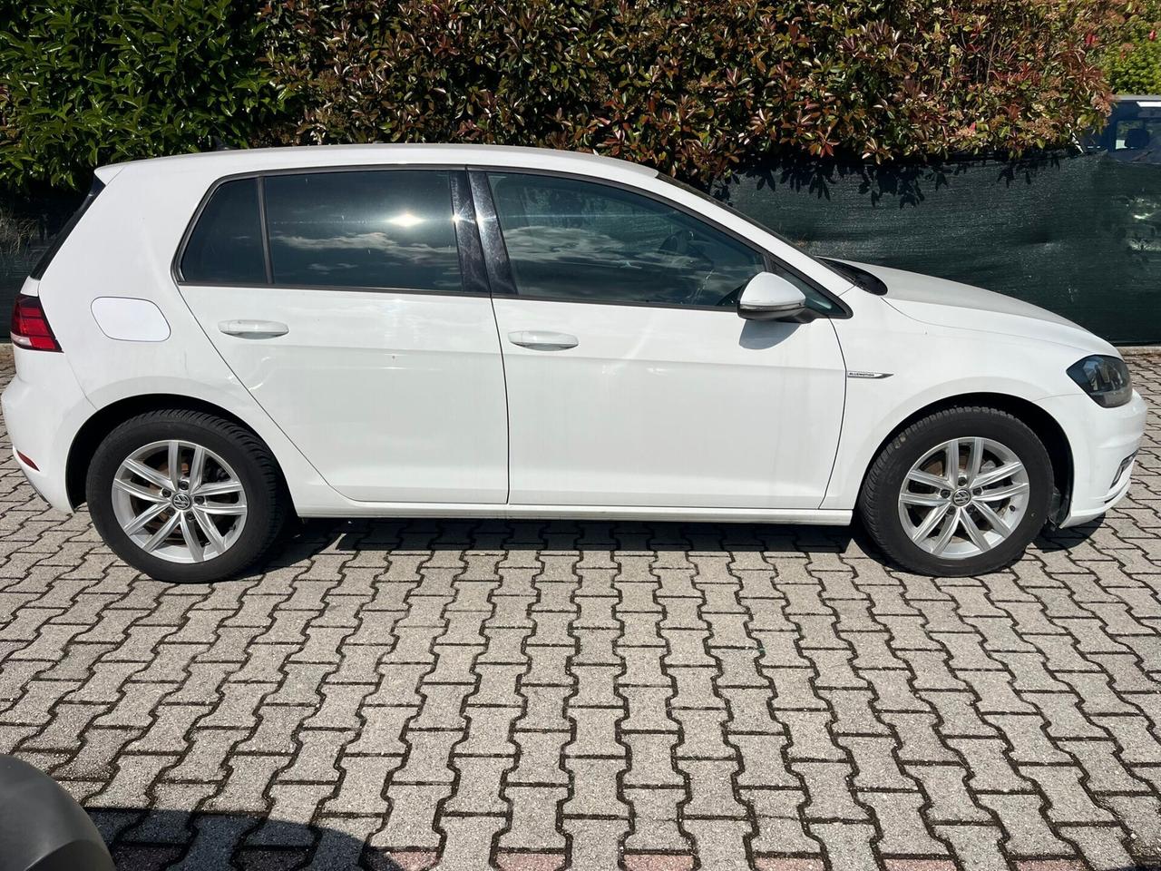 Golf 1.5 TGI 5p. Executive BlueMotion Technology