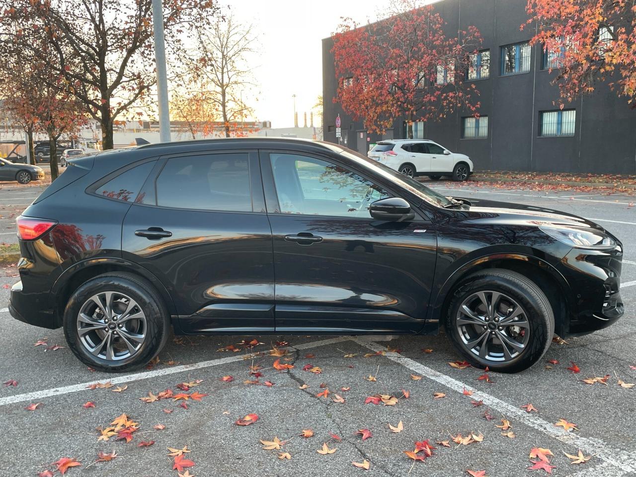 Ford Kuga 2.5 Plug In Hybrid 225 CV CVT ST-Line