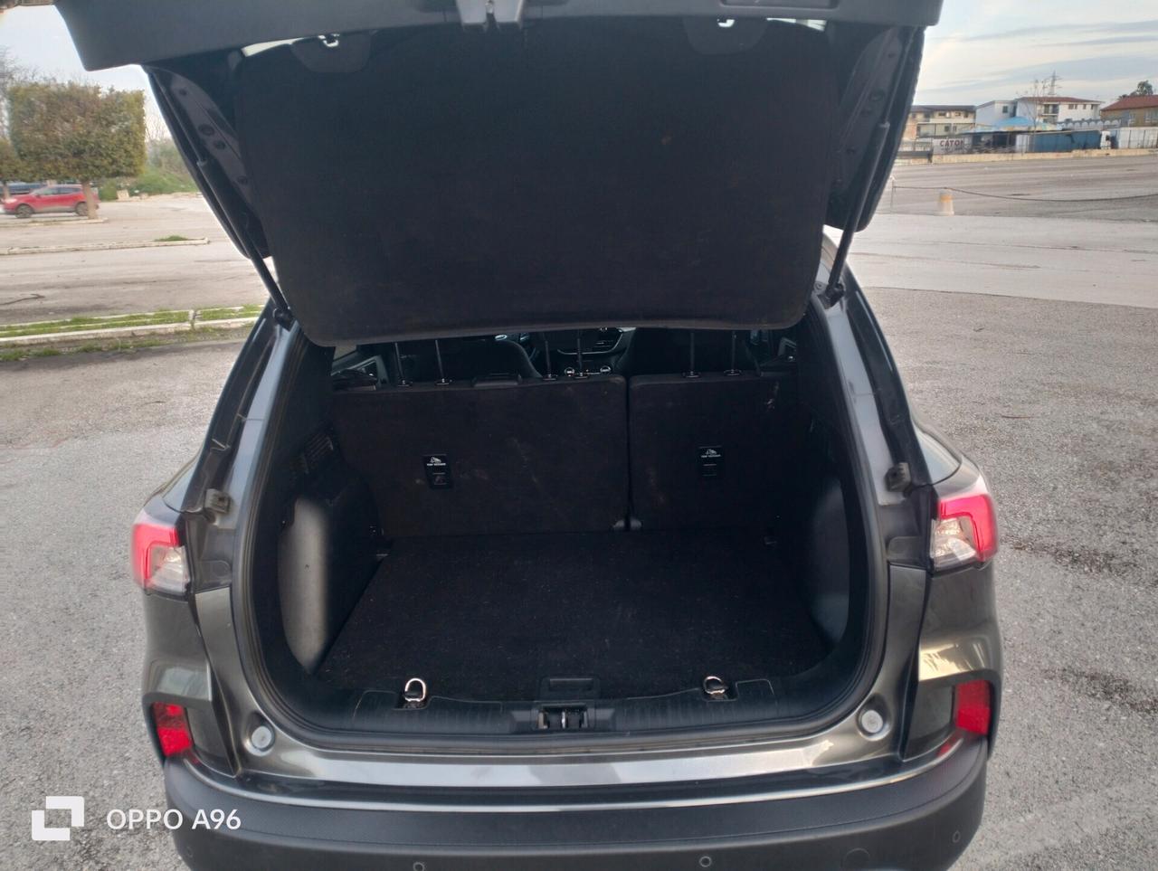 Ford Kuga 1.5 EcoBlue 120 CV aut. 2WD Connect