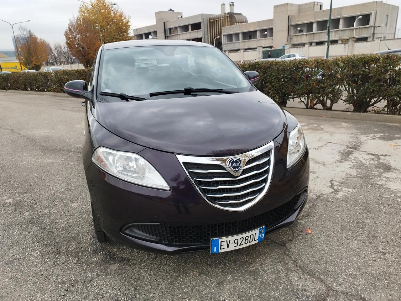 Lancia Ypsilon 1.2 69 CV 5 porte Elefantino rosa