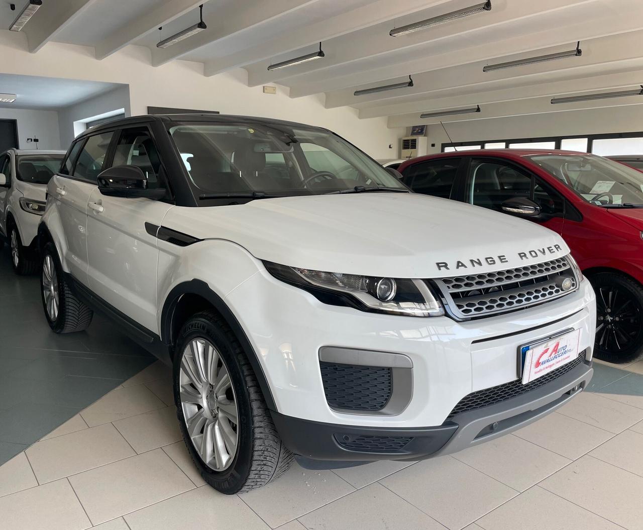 Land Rover Range Evoque 2.0 TD4 150 CV 5p. Pure