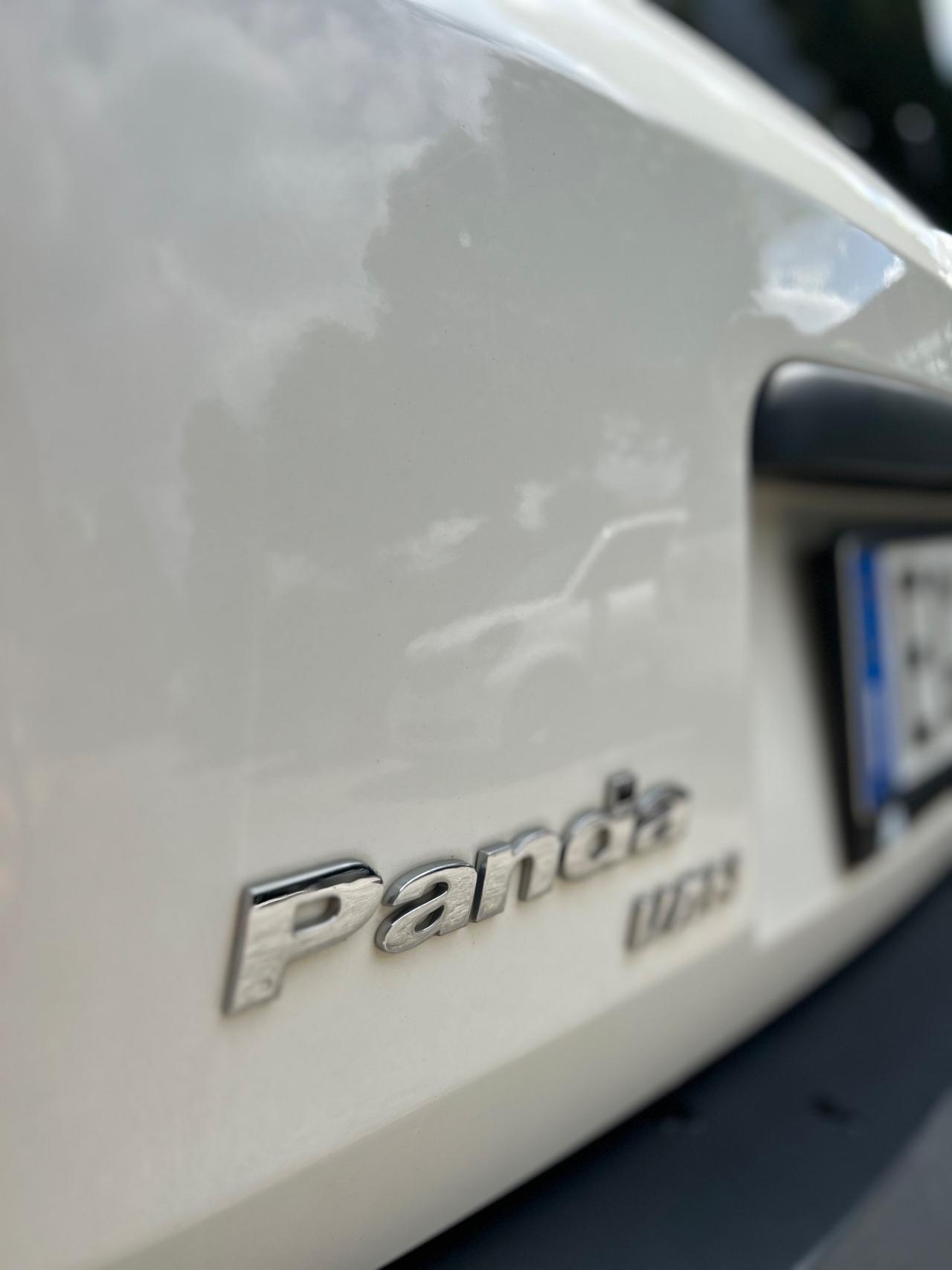 Fiat Panda 1.3 MJT DPF Van Dynamic 4 posti