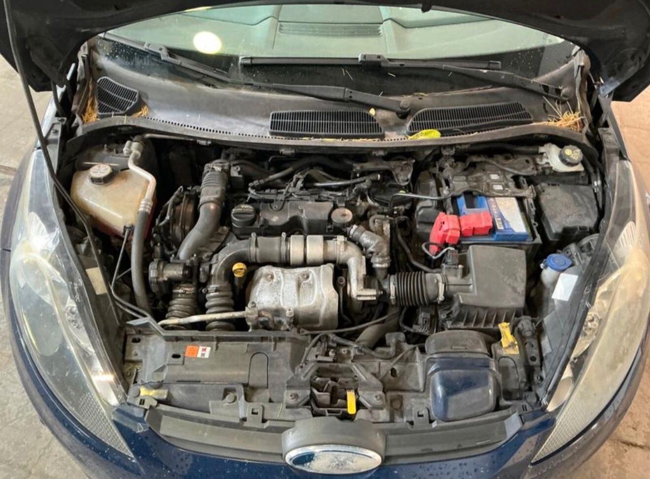 Ford Fiesta Fiesta+ 1.6 TDCi 95CV 3 porte