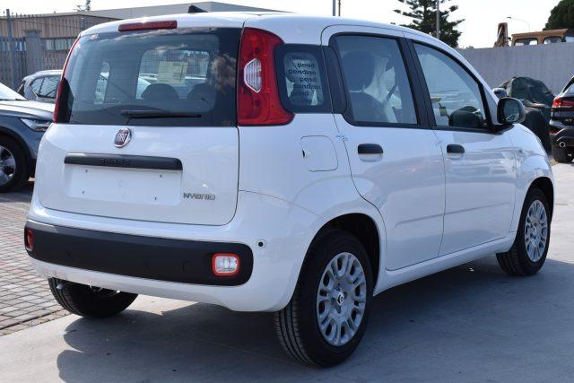 FIAT Panda 1.0 FireFly S&S Hybrid Icon *SENSORI*