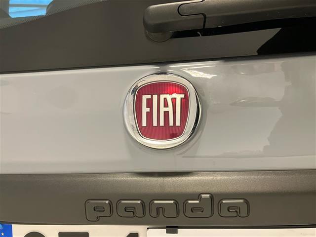 FIAT Panda 1.0 FireFly Hybrid 70cv City Life S&S
