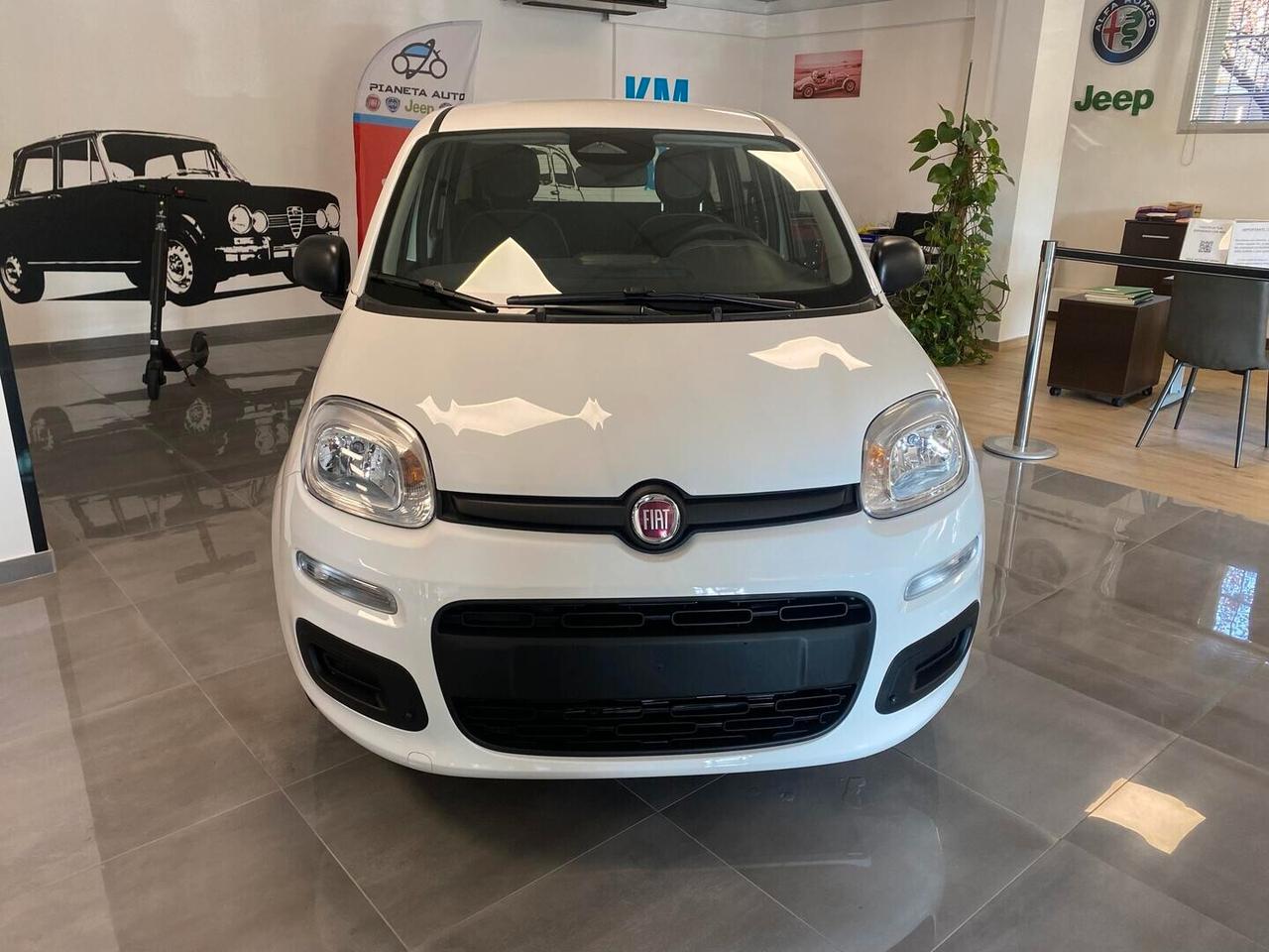 Fiat Panda Icon 1.0 Hybrid 65cv -KMO 2026