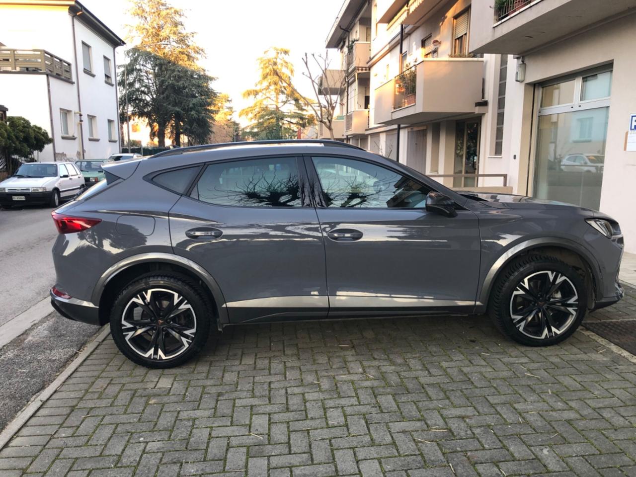 Cupra Formentor 2.0 TDI 4Drive DSG