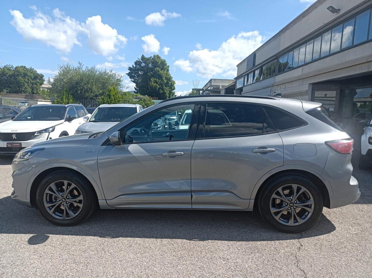 Ford Kuga 1.5 EcoBlue 120 CV aut. 2WD ST-Line X
