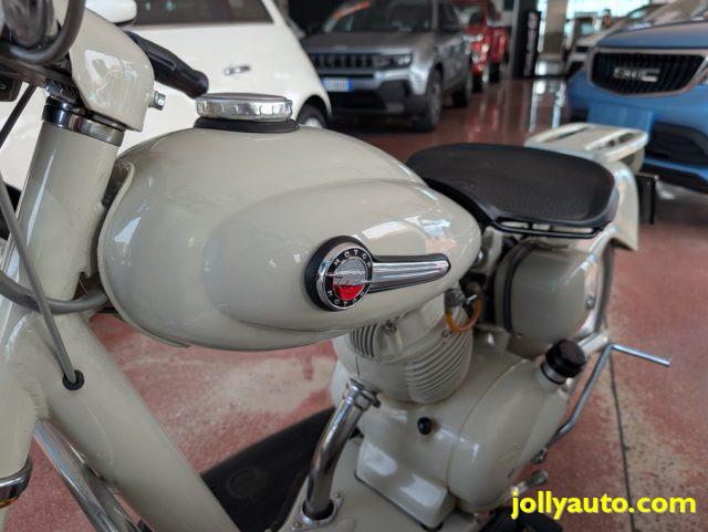 MOTOM Dolcevita 160 DELFINO
