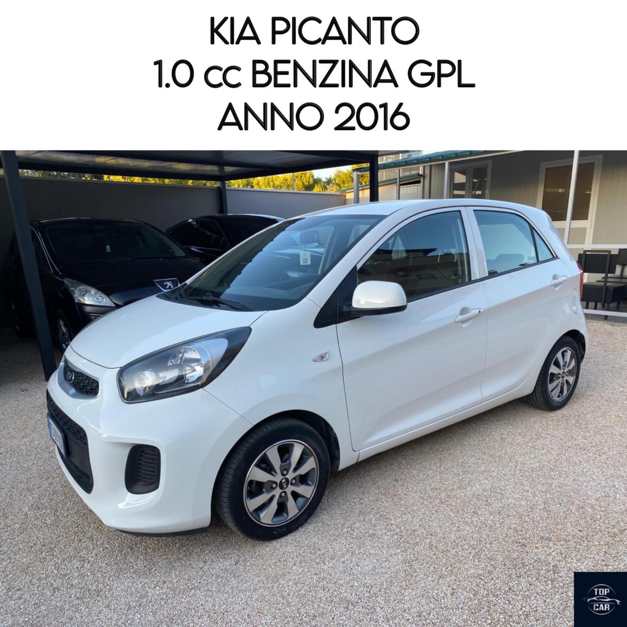 Kia Picanto 1.0 12V EcoGPL 5 porte Glam