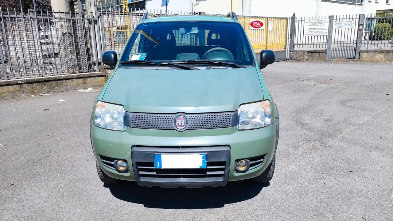Fiat Panda 1.3 MJT 16V 4x4 Glam NEOPATENTATI - 2010
