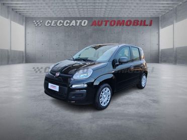 FIAT Pandina Pandina 1.0 65cv Hybrid Icon
