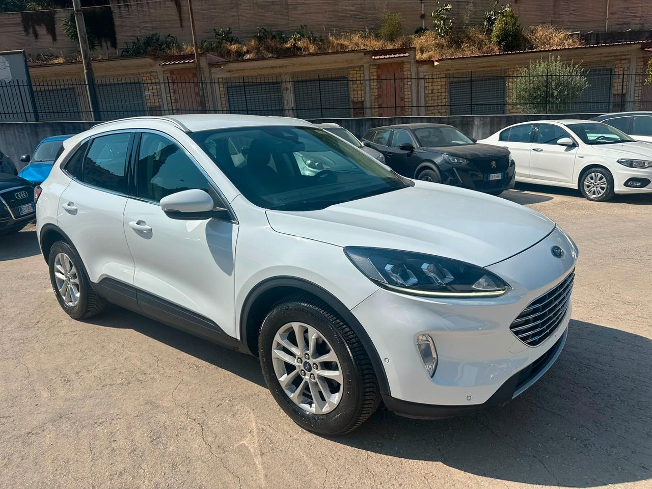 Ford Kuga 1.5 EcoBlue 120 CV 2WD Titanium