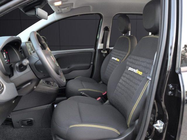 FIAT Panda 1.0 FireFly S&S Hybrid Pandina