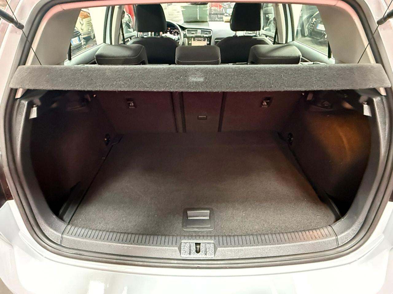 Volkswagen Golf 7/5 1.6 116cv BlueMotion - 2018