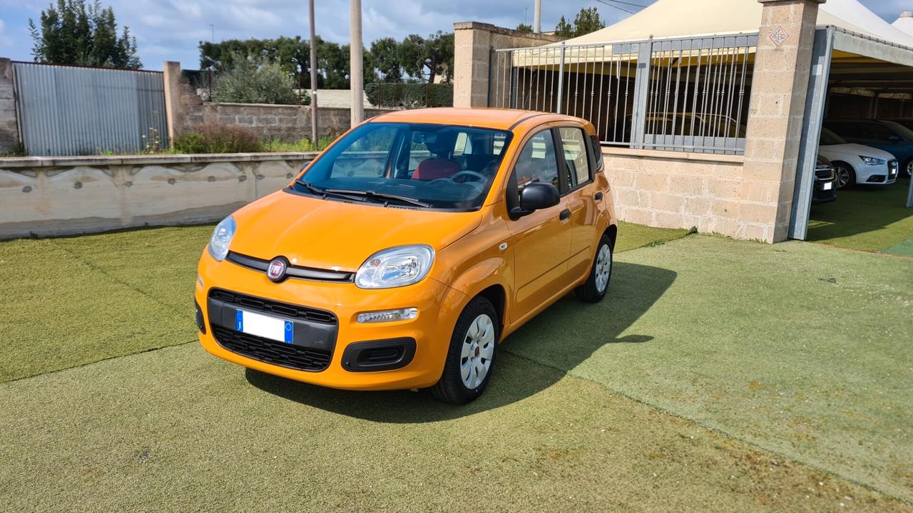 Fiat Panda 1.2 benz. 70 cv 2020 NEOPATENTATI