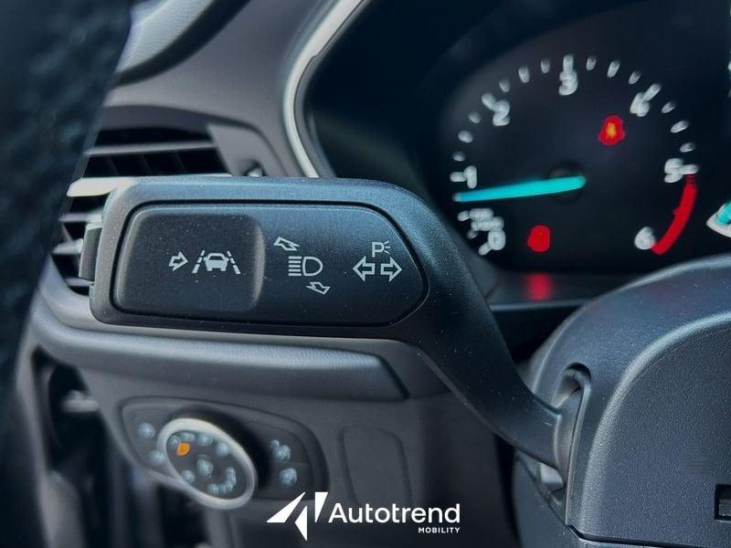 Ford Focus 1.5 EcoBlue 120 CV Automatica SW Business Co-Pilot