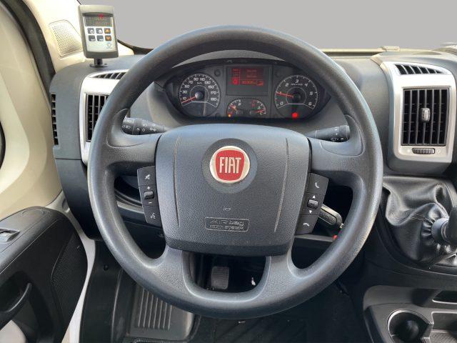 FIAT Ducato MAXI FRIGO CON PEDANA