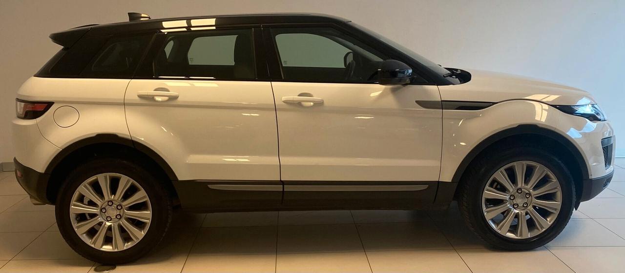 Land Rover Range Rover Evoque Range Rover Evoque 2.0 eD4 5p. Pure