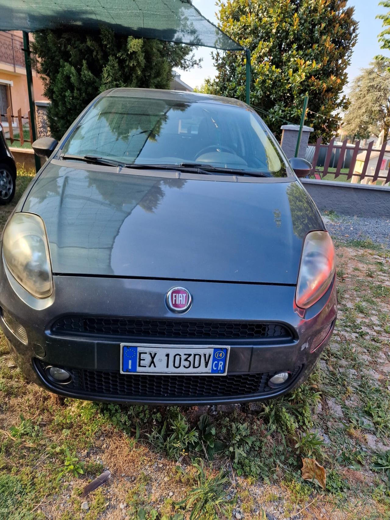 Fiat Punto 1.3 MJT II 75 CV 5 porte Lounge AUTO DESTINATA A COMMERCIANTI E OPERATORI DEL SETTORE