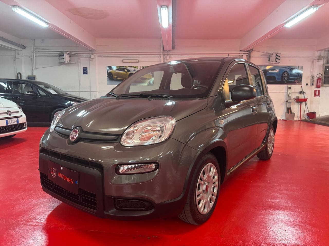 Fiat Panda 1.0 FireFly S&S Hybrid con soli 25000km