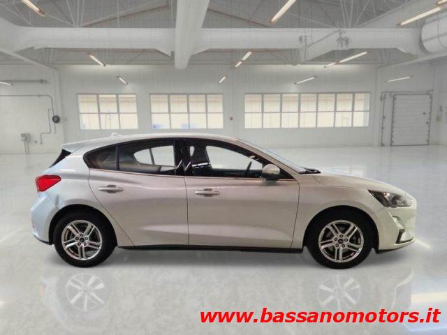 FORD Focus 1.5 EcoBlue 120 CV 5p. Business IN ARRIVO