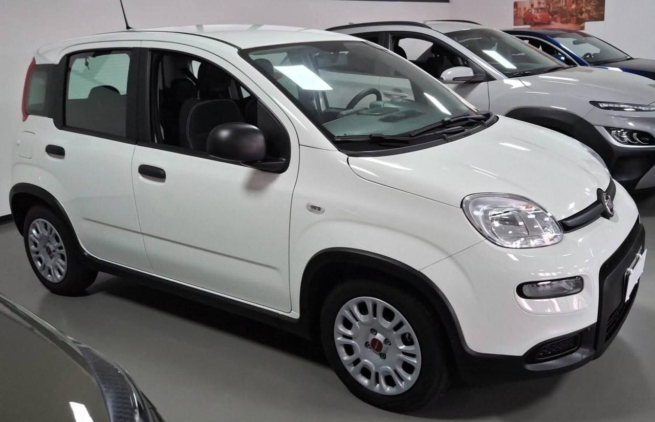 Fiat Panda 1.0 Hybrid km0 5posti Sensori parcheggio