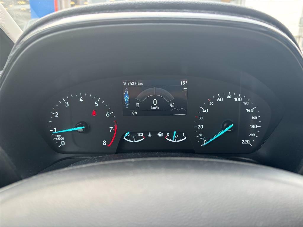 FORD Fiesta Active 1.0 ecoboost h 125cv del 2022