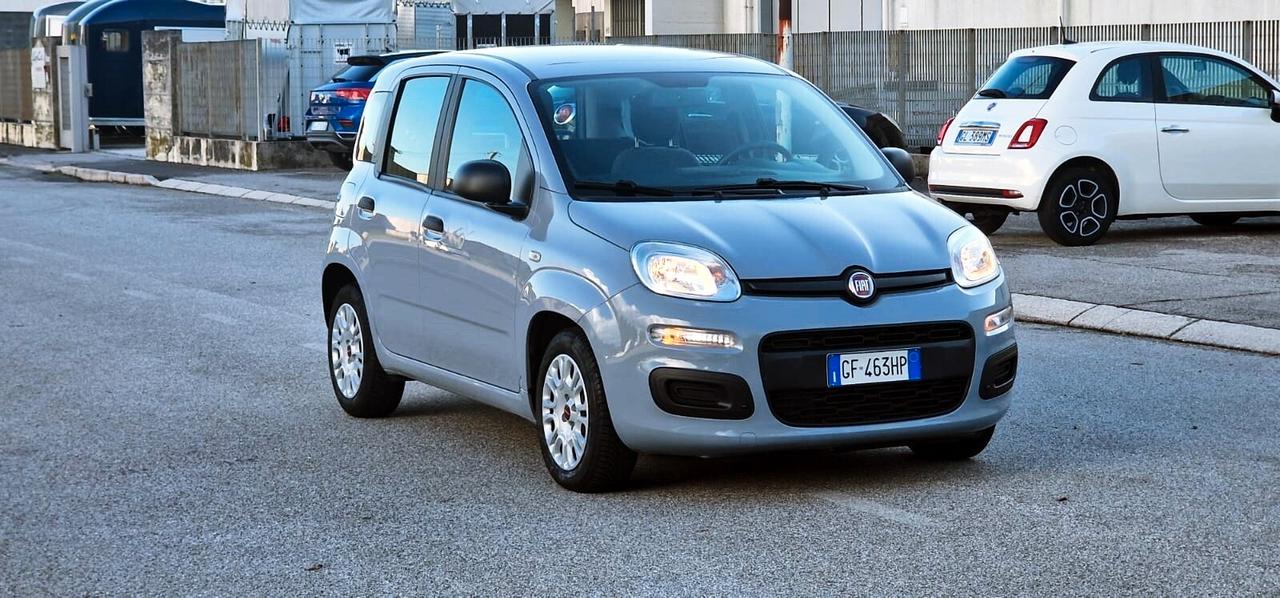 Fiat PANDA 1.0 FireFly 70cv S&S Hybrid