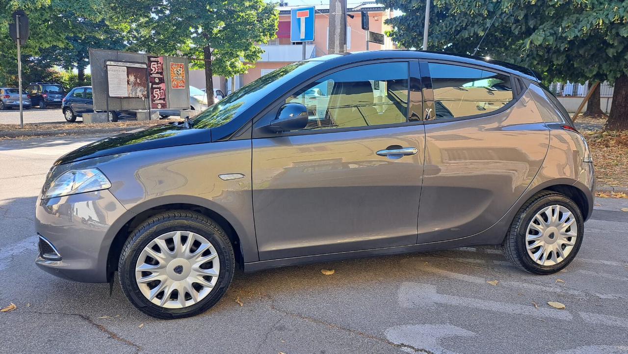 Lancia Ypsilon 1.3 MJT 16V 95 CV 5 porte S&S Platinum
