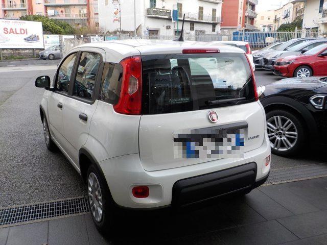 FIAT Panda MY25 - 1.0 FireFly Hybrid POP