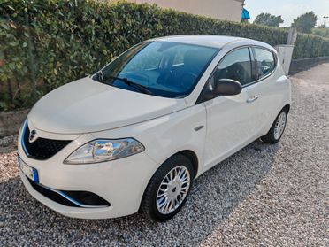 Lancia Ypsilon 1.2 SILVER NEO PATENTATI GARANZIA KM VERI