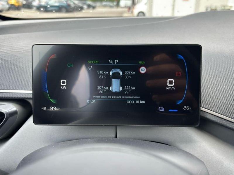 BYD Dolphin Surf Boost