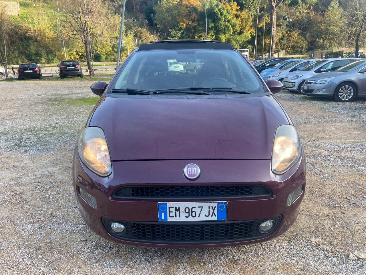 Fiat Punto 1.3 MJT II S&S 85 CV 5 porte ECO Lounge