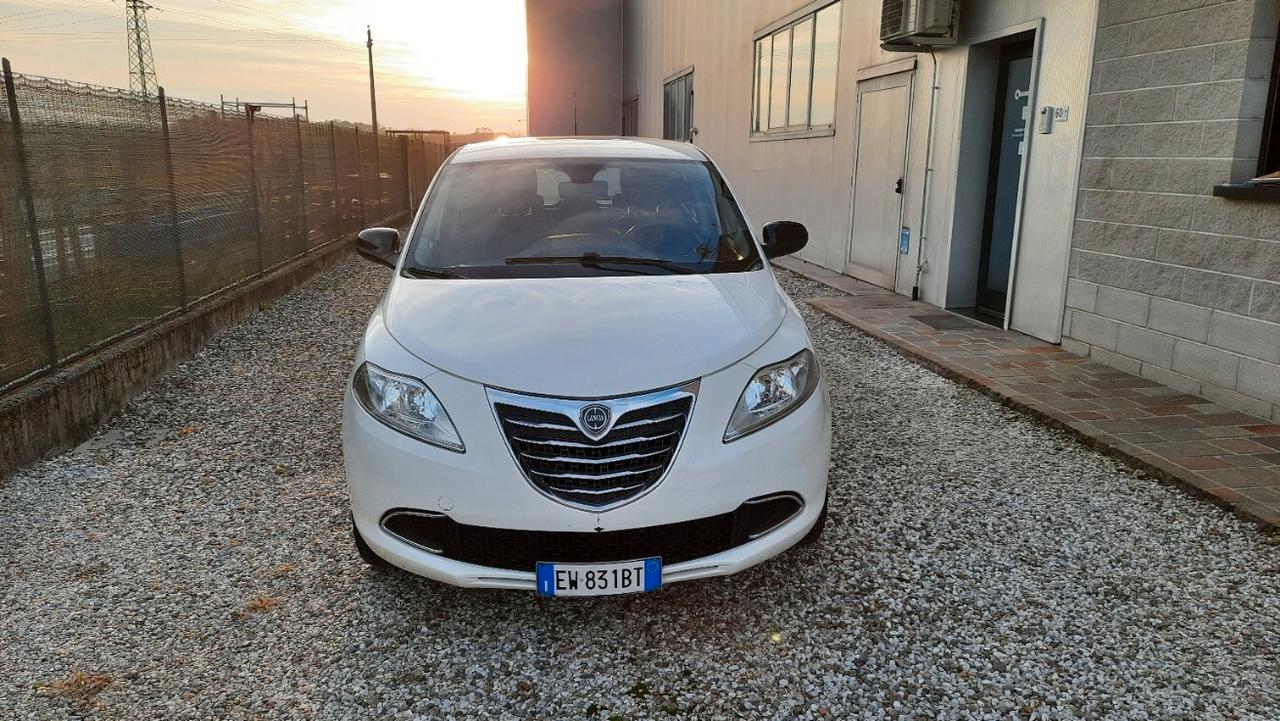 Lancia Ypsilon 1.2 69 CV 5 porte Gold