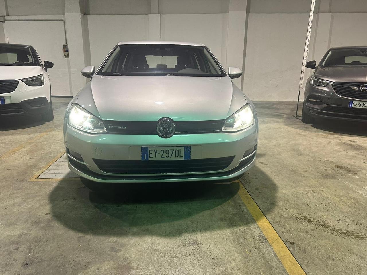 Volkswagen Golf Business 1.4 TGI 5p. Highline BlueMotion