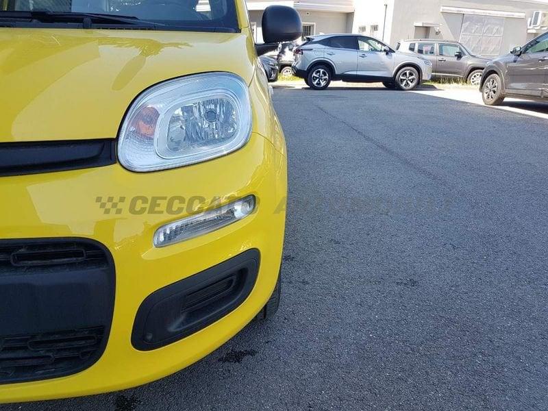 FIAT Panda Panda 1.0 firefly hybrid s&s 70cv