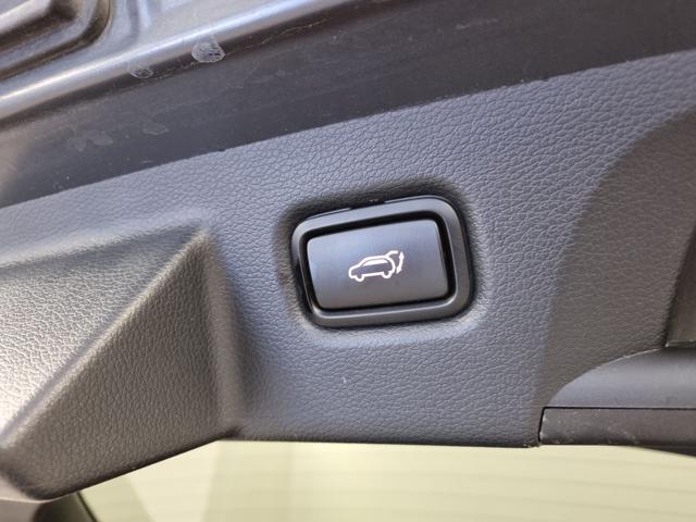 KIA Proceed 1.5 T-GDI DCT GT Line Special Edition