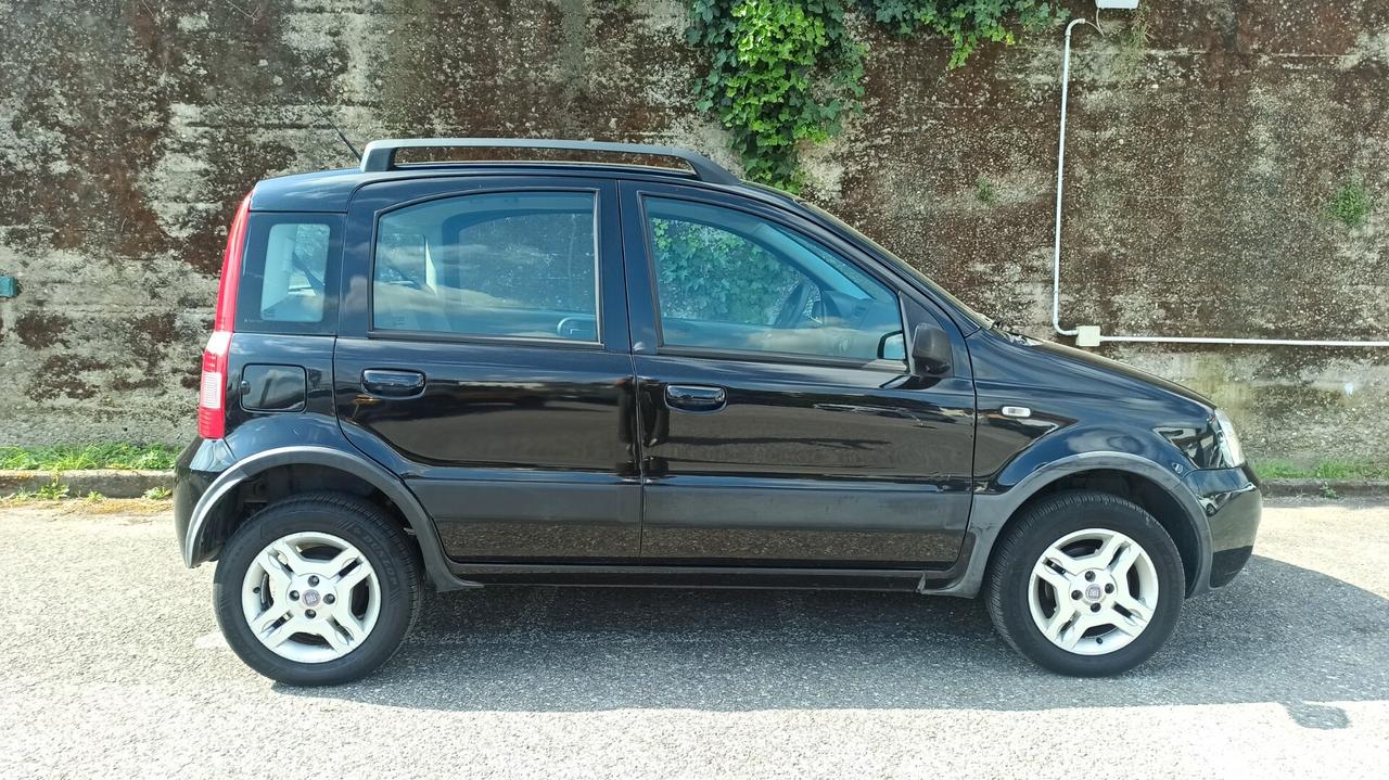 Fiat Panda 1.2 Climbing Natural Power