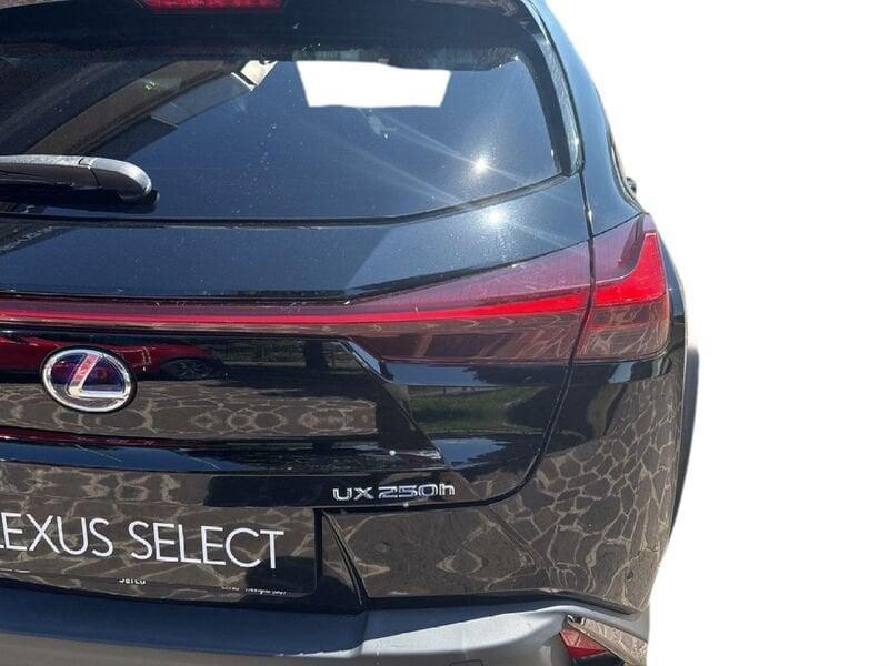 Lexus UX UX 250 Hybrid F Sport