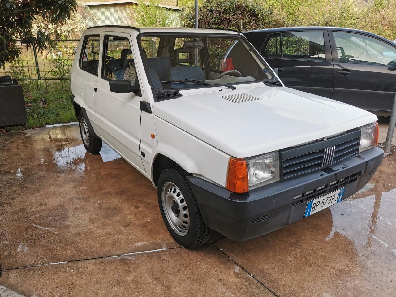 Fiat Panda 1100 i.e. cat Young