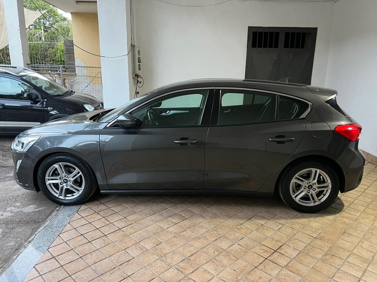 Ford Focus 1.5 EcoBlue 120 CV automatico 5p. Business Co-Pilot
