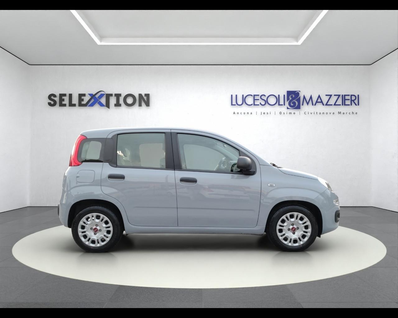 FIAT PANDA - Panda 1.0 FireFly S&S Hybrid