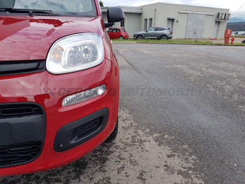 FIAT Panda Panda 1.0 firefly hybrid s&s 70cv