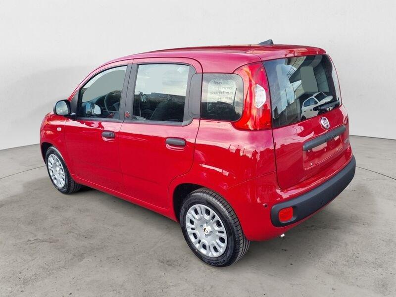 FIAT Panda NEW 1.0 70cv Hybrid Icon