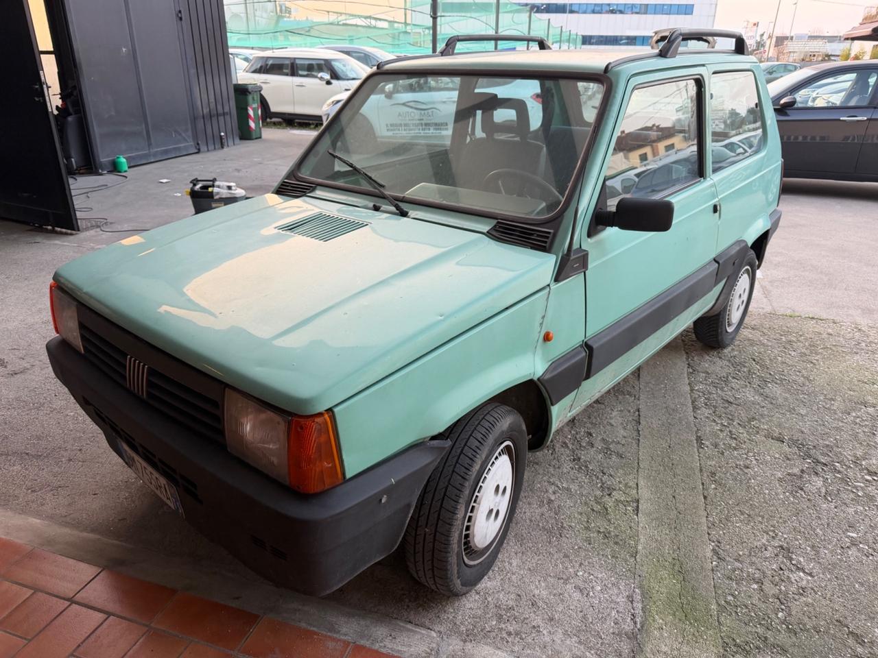 Fiat Panda 900 i.e. cat Young